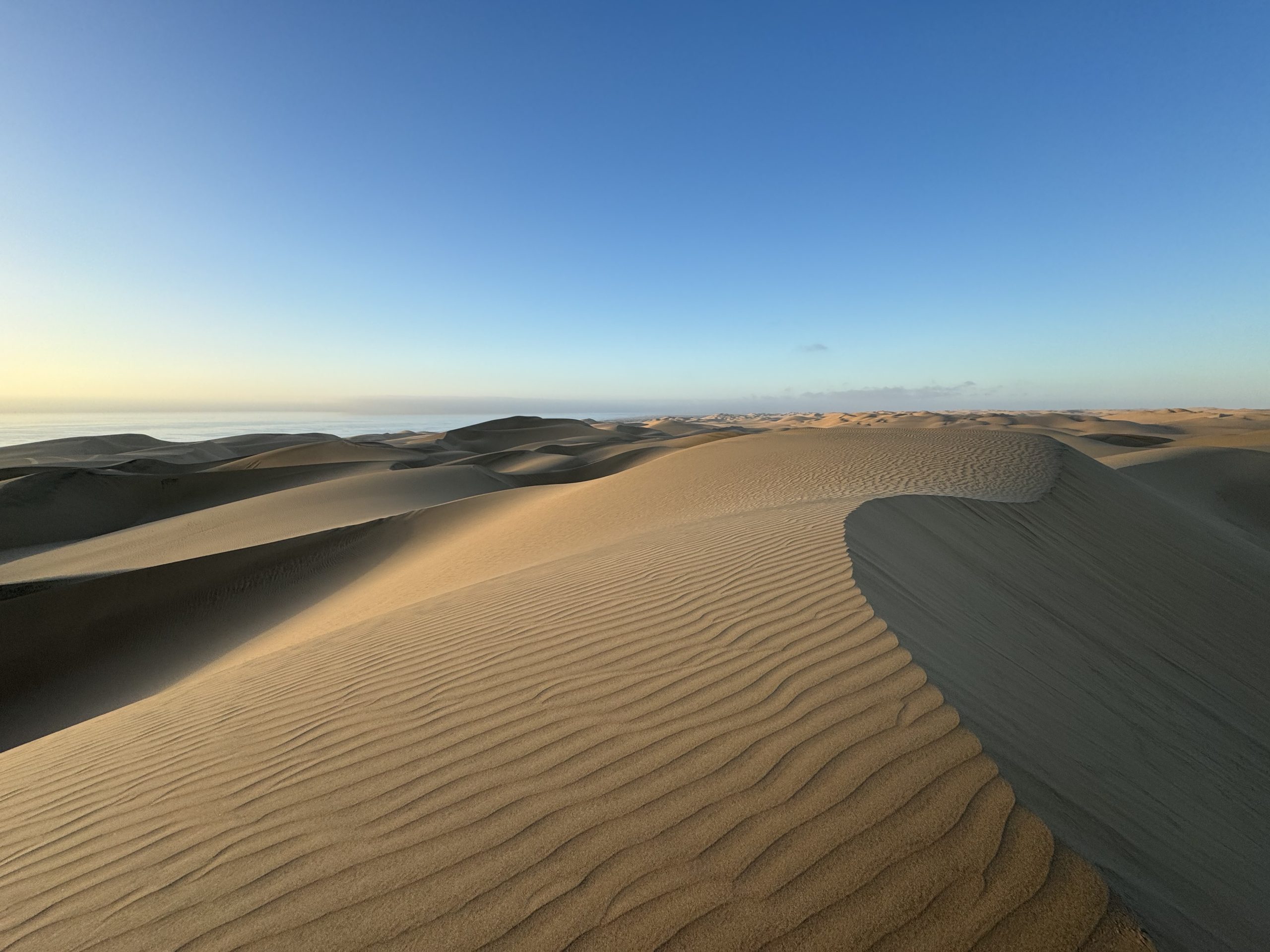 Qu Ver Y Hacer En Sandwich Harbour Walvis Bay Namibia 